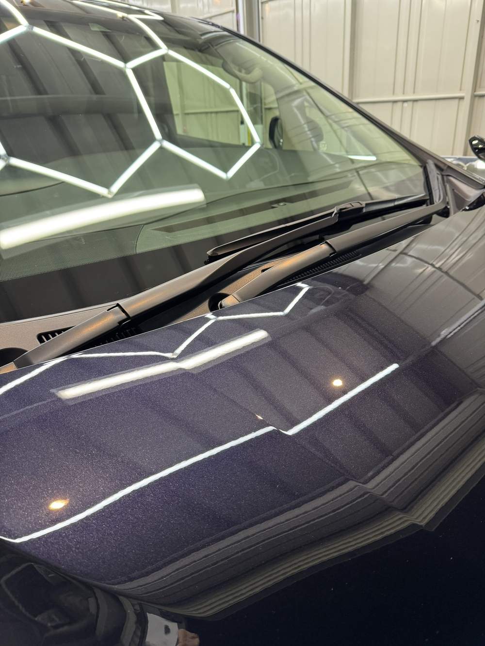 ALPHARD / HOOD