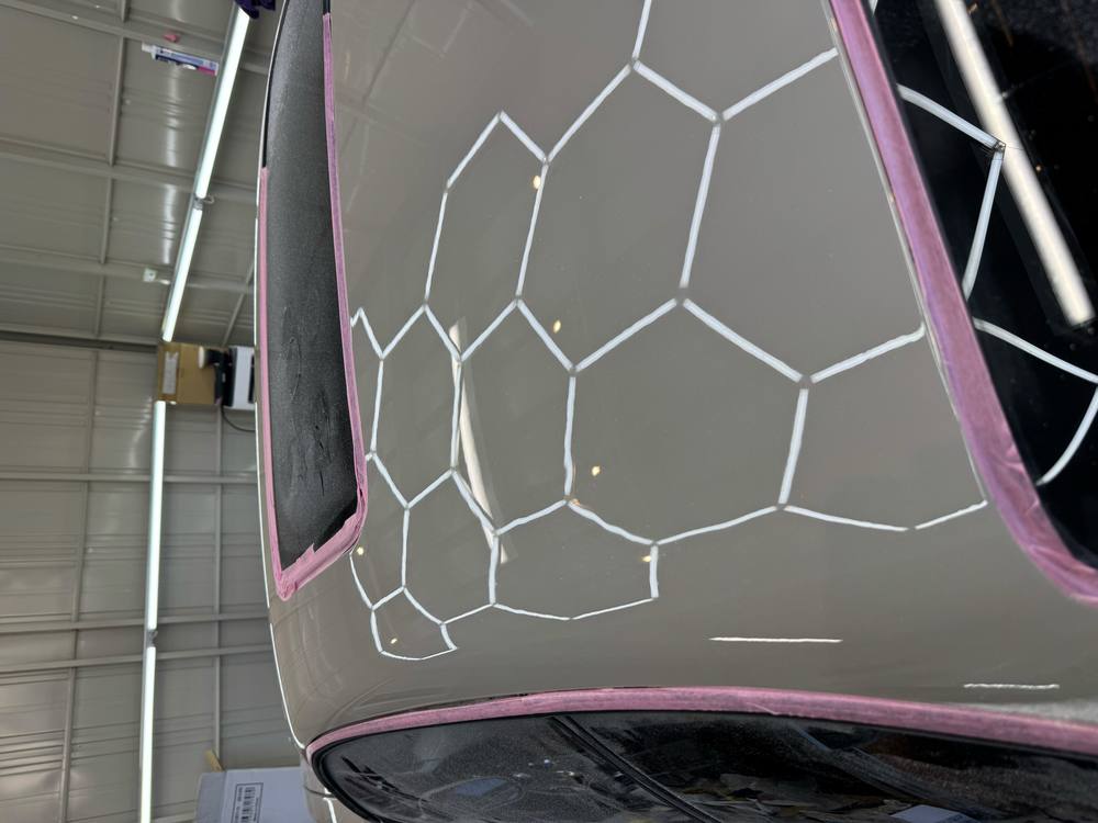 S14 / PANEL
