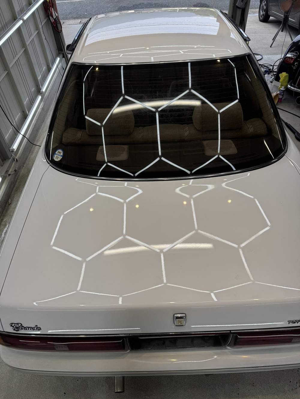 MARK II / TRUNK